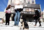 Варна  - Протест пред Община Варна