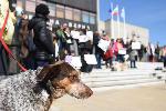 Варна  - Протест пред Община Варна