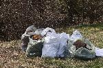 София - Пролетно почистване