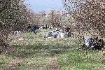 София - Пролетно почистване