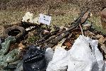 София - Пролетно почистване