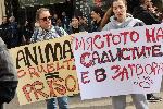 София - Протест в защита на животните