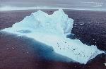 В Бургас беше открита антарктическа фотоизложба на изследователя Олег Василев