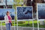 Бургас - антарктическа фотоизложба- Олег Василев