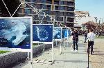 Бургас - антарктическа фотоизложба- Олег Василев