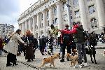 София - Национален протест в защита на животните