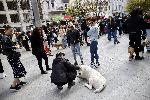 София - Национален протест в защита на животните