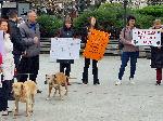 Видин - Национален протест в защита на животните
