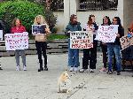Видин - Национален протест в защита на животните