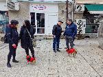 Видин - Национален протест в защита на животните