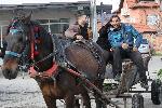 София - квартал Христо Ботев - празник на ромите