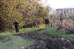 София - район Илиянци - полицията откри два трупа
