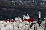 Варна  - Посрещане на  експедицията от южният полюс