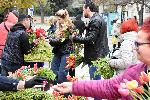 Варна  - Православната църква празнува християнския празник Вход Господен в Йерусалим