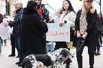 София - Протест в защита на животните