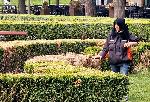 Във видинска община започна обработка на детски площадки  и тревни площи срещу кърлежи и комари.