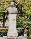 Видин – Обработка срещу кърлежи и комари