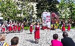 Враца - Областен фолклорен събор