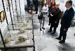 Варна  - 40 години музей на медицината