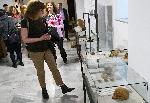 Варна  - 40 години музей на медицината