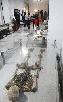 Варна  - 40 години музей на медицината