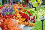 Бургас - Пролетно изложение Флора