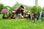 Бургас - Пролетно изложение Флора