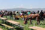 София - село Лесново, празник на конете