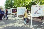 Бургас – Откриване на изложбата Шофирай със сърце и разум
