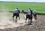 Село Севар, Разград – Конски Кушии