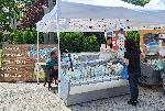 Враца - Фестивал на българскато сирене и млечни продукти
