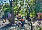 Варна  - Паднал огромен клон на площадка за игра <br />