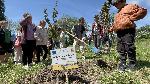 Хасково - засаждане на дръвчета по повод Деня на Европа
