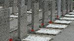 Видин - Почит към погребаните войни в Руското военно гробище