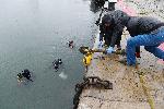 Варна  -  Водолази се включиха в голямото почистване на града<br />