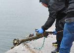 Варна  -  Водолази се включиха в голямото почистване на града<br />