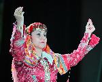Град Кубрат - фолклорен фестивал "Божурите"