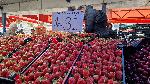София - Женски пазар - череши,ягоди и зеленчуци