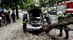 Млада шофьорка се заби в дърво, което падна върху спирка в Хасково