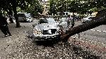 Хасково - Млада шофьорка самокатастрофира