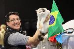 София - Международна изложба на котки