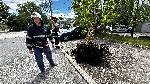 Хасково - Затиснат автомобил от паднало дърво