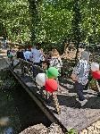 Плевен - Откриване на мост