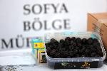 София - Курбан Байрам