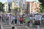 Пловдив – Протест в защита на българския лев
