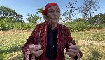 Баба Петрана от село Каснаково разказва за ритуала на Еньовден