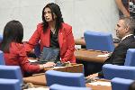 София - Заседание на  парламента