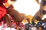 Варна  - Международния фолклорен фестивал „Варненско лято“ 2025