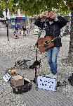 Плевен - Пътуващ уличен музикант