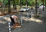 София - Миене на улици в кв.Лозенец